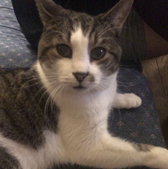 Meet your Posher, Stefanie - Picture 3 of 4